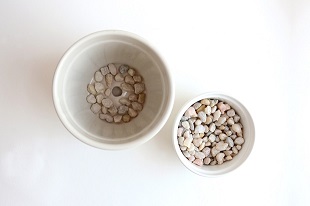Step 4: Place rocks in pot