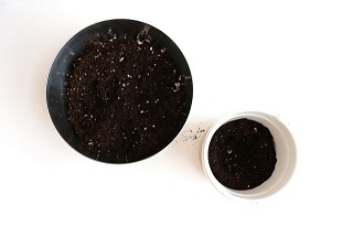 Step 4: Soil in pot