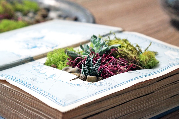 DIY Home Décor: Turn an Old Book Into a Darling Planter