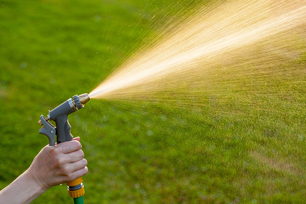 5 Spring Lawn Care Tips