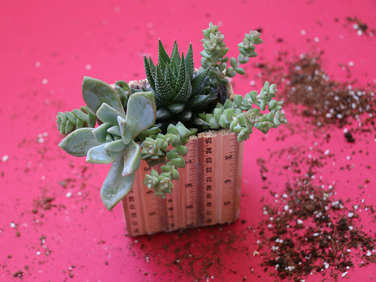 DIY ruler planter teacher gift step 5