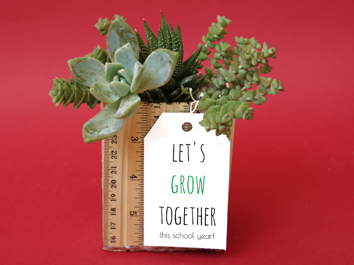 DIY ruler planter teacher gift