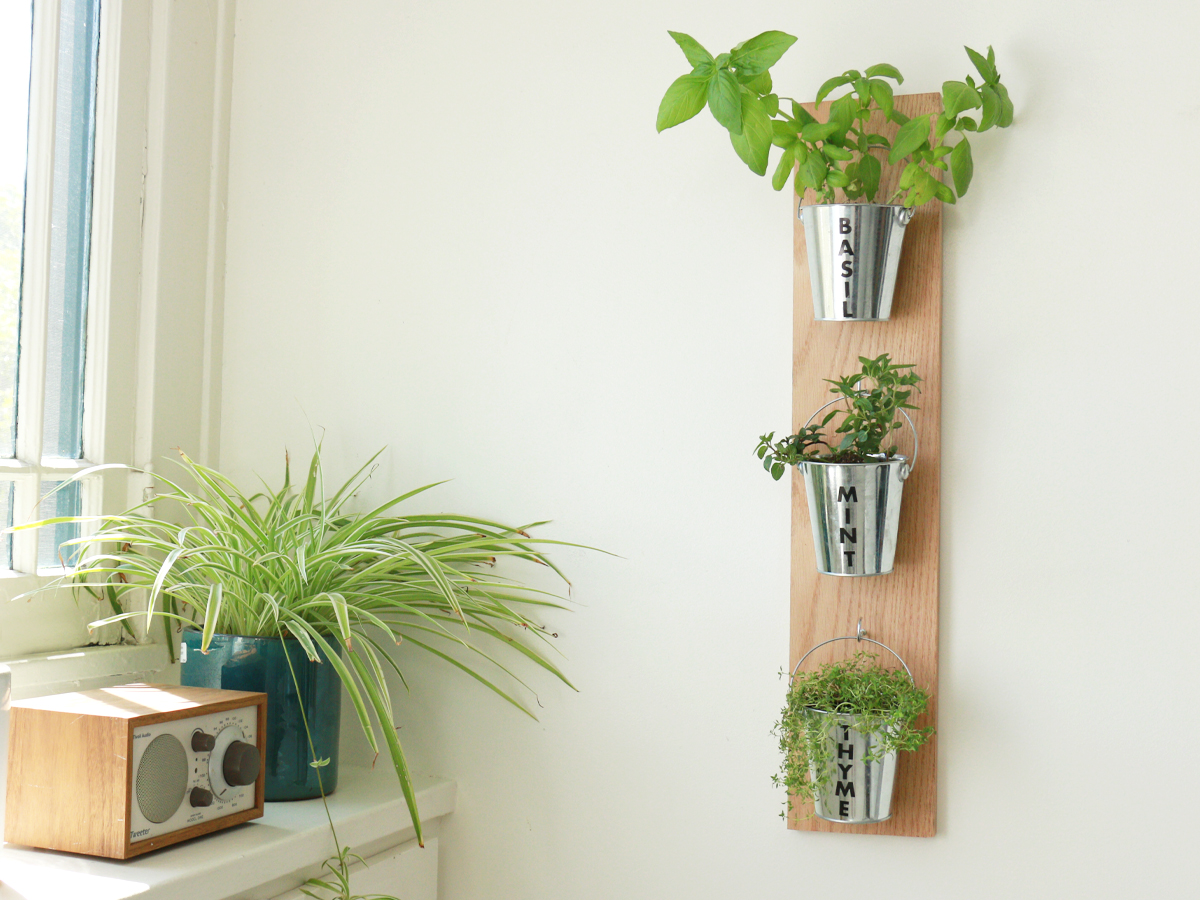 How to Make a DIY Wall Garden for Under $20