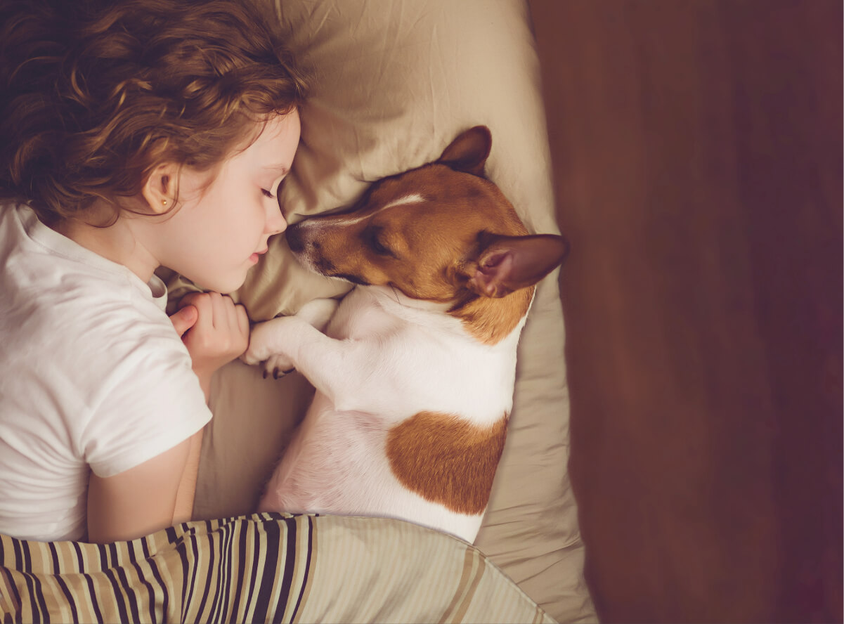 Sharing Your Bed With a Pet? Let’s Talk Pros, Cons, and Options