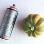 We used copper paint on little pumpkins. Be sure to let the painted produce dry for 24 hours before placing it on your table or you could ruin your tablecloth.