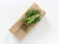 Natural Gift Wrap DIY