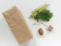 Natural Gift Wrap DIY
