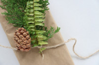 Natural Gift Wrap DIY