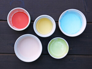 In a disposable bowl, mix each acrylic paint color with a couple of drops of water.