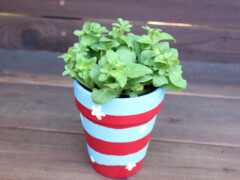 Fill the pots with flowers, herbs, or whatever you’d like!