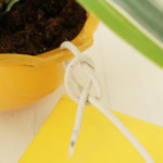 Butcher's knot step 3