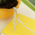 Butcher's knot step 4